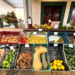 Madeira: East Coast, Sao Lourenço & Local farmers' market - Who Is This Tour Best For?