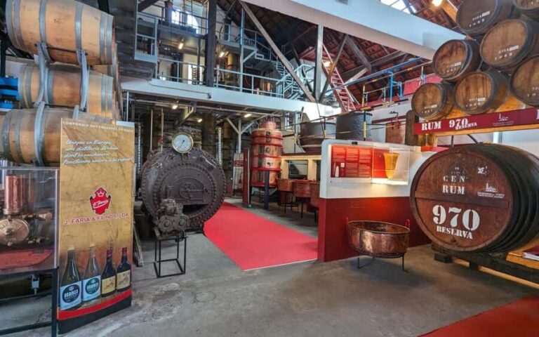 Madeira East Express: Ponta de São Lourenço and Villages - Who This Tour Suits Best