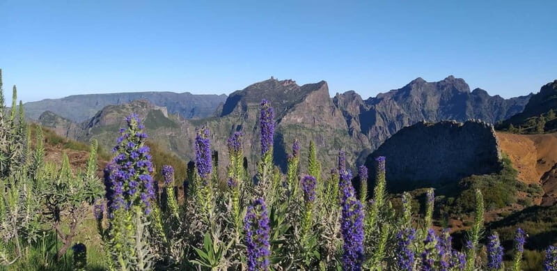 Madeira East Island Tour and Levada Walk - Authentic Insights From Travelers