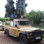 Madeira East or West Private Half-Day Tour by Open-Top Jeep - Who Will Love This Tour?