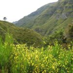 Madeira: Enjoy a Guided Levada Walk in the Rabaçal Valley - The Value of This Experience