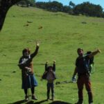 Madeira: Fanal Forest Guided Hiking Tour - What to Expect