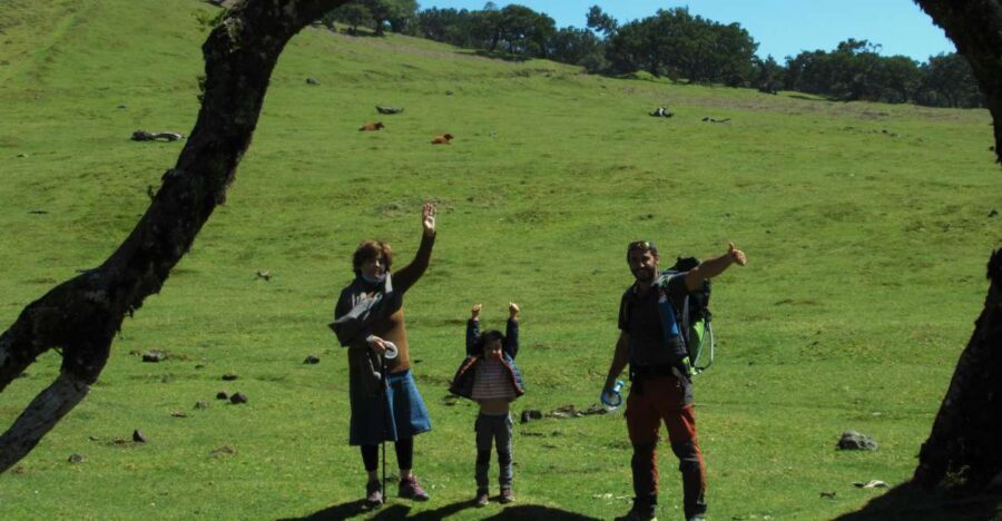 Madeira: Fanal Forest Guided Hiking Tour - What to Expect