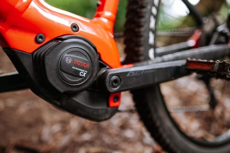 Madeira: Full Day E-Bike Rental - FAQ