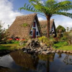 Madeira: Go East Island Tour - An In-Depth Look at the Madeira: Go East Island Tour