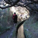 Madeira: Guided Full-Day Rabaçal Walk - Detailed breakdown of the itinerary