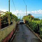 Madeira: Half-Day Nun's Valley and Sea Cliff Tour - Why This Tour Works Well