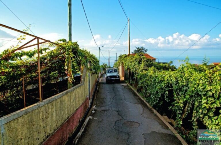 Madeira: Half-Day Nun's Valley and Sea Cliff Tour - Why This Tour Works Well
