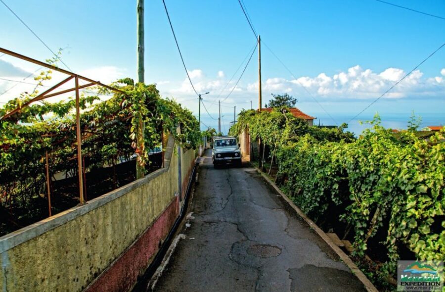 Madeira: Half-Day Nun's Valley and Sea Cliff Tour - Why This Tour Works Well