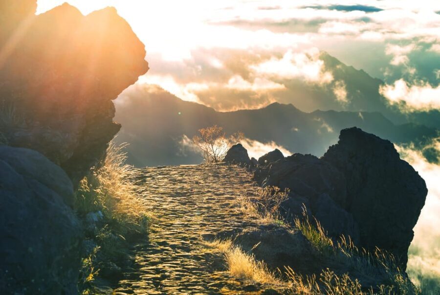 Madeira: Heavenly Sunset Pico do Arieiro with Snacks & Wine - Is This Tour Worth the Price?