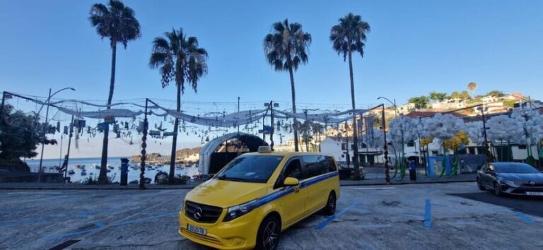 Madeira Island - Why This Tour Offers Good Value