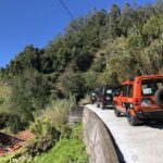 Madeira Island: Full-Day Guided Tour of Eastern Madeira - Transportation and Group Dynamics