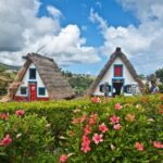 Madeira: Late East Tour with Pico do Areeiro Views - What Makes This Tour Stand Out?