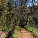 Madeira: Levada Paradise Valley Scenic Walk - Detailed Breakdown of the Itinerary