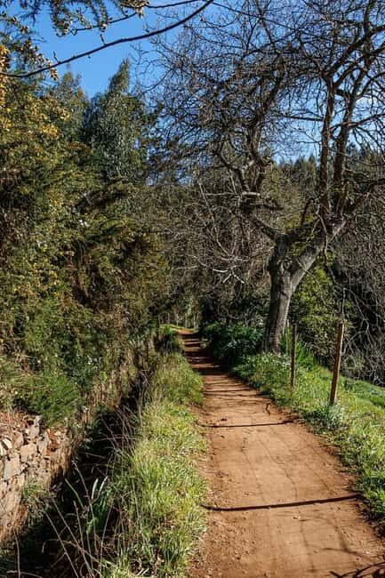 Madeira: Levada Paradise Valley Scenic Walk - Detailed Breakdown of the Itinerary