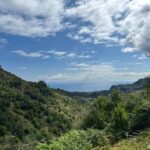 Madeira: Levada Walk and Santo da Serra Market Tour - Why This Tour Works