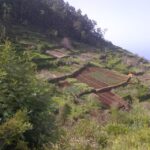Madeira: Levado do Norte 2-Hour Hiking Tour - An In-Depth Look at the Levado do Norte Tour