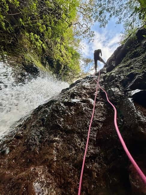 Madeira: Level 1 Canyoning Half Day Adventure - Why This Tour Is a Great Value