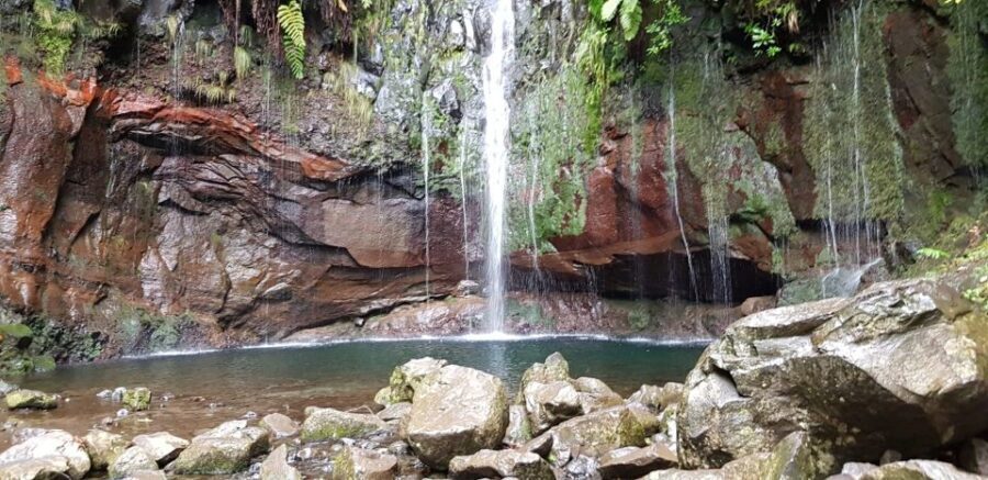 Madeira: Mountain Walk with Lagoon and Waterfalls - Is This Tour Worth It?