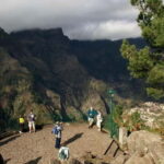 Madeira: Nuns Valley and Câmara de Lobos Half-Day Tour - Final Thoughts: Who Will Love This Tour?