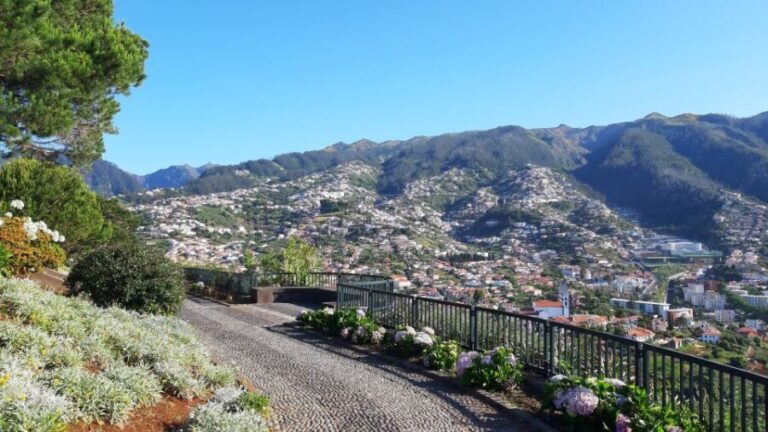 Madeira: Nun's Valley Private Tour - Who Will Enjoy This Tour?