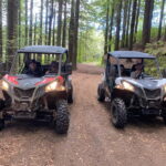 Madeira: Off-Road Buggy Driving Experience - Authentic Insights from Reviewers