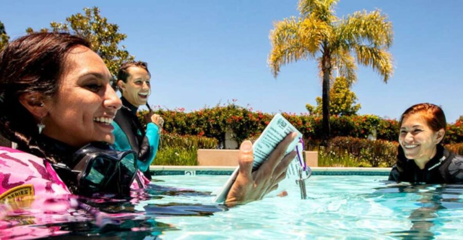 Madeira: Open Water Diver First Certification Course - What to Expect in Terms of Experience