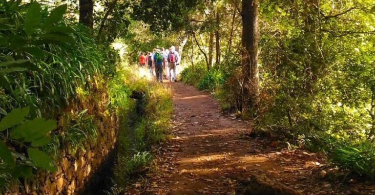 Madeira: Paradise Valley Levada Walk - A Deep Dive into the Madeira: Paradise Valley Levada Walk