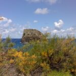 Madeira: Pico do Arieiro & Laurissilva Forest - East tour - A Deep Dive into the Madeira East Tour Experience