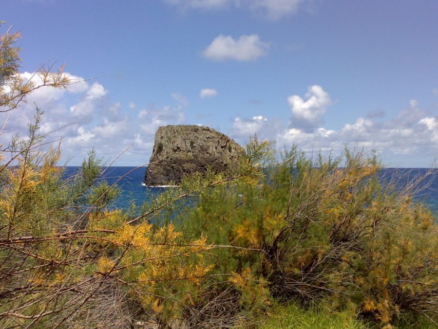 Madeira: Pico do Arieiro & Laurissilva Forest - East tour - A Deep Dive into the Madeira East Tour Experience