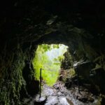 Madeira: PR 9 - Levada do Caldeirão Verde Hike Transfer - Who Is This Experience Best For?