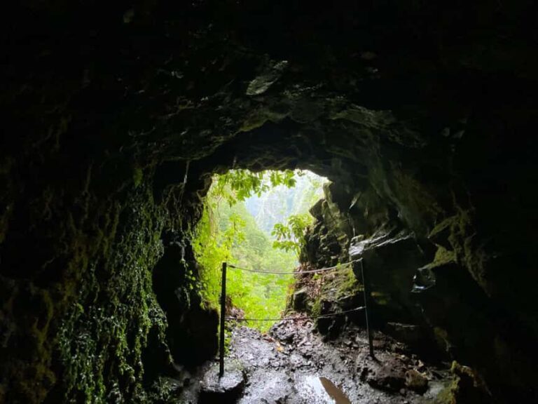 Madeira: PR 9 - Levada do Caldeirão Verde Hike Transfer - Who Is This Experience Best For?