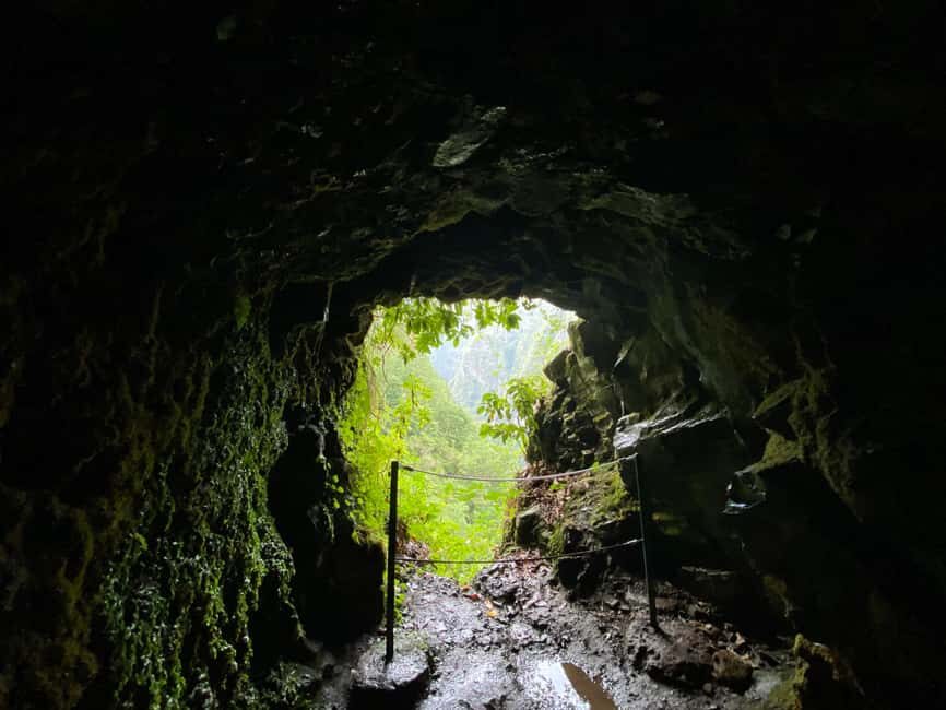 Madeira: PR 9 - Levada do Caldeirão Verde Hike Transfer - Who Is This Experience Best For?