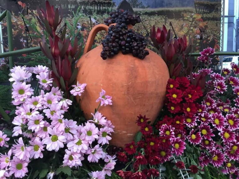 Madeira Private 4-Seater Mercedes VIP - Who Would Love This Tour?