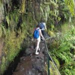 Madeira: Private Guided Levada Caldeirão Verde Walk PR9 - The Practicalities: What It Means for You