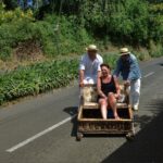 Madeira: Private Monte tour on a Tukxi - The Optional Toboggan Ride