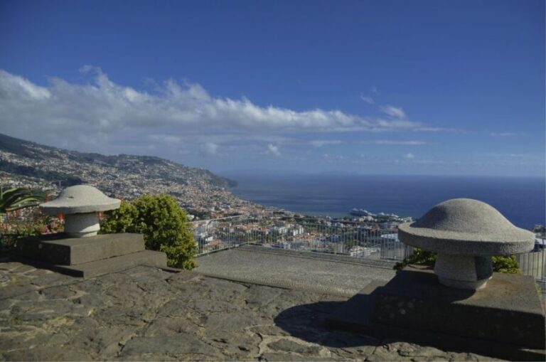 Madeira: Private Nuns Valley Tour by Tukxi - The Highlight: Eira do Serrado Viewpoint