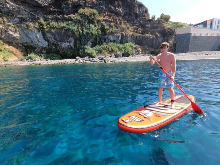 Madeira: Private Paddleboard & Snorkel - Who Will Love This Tour?