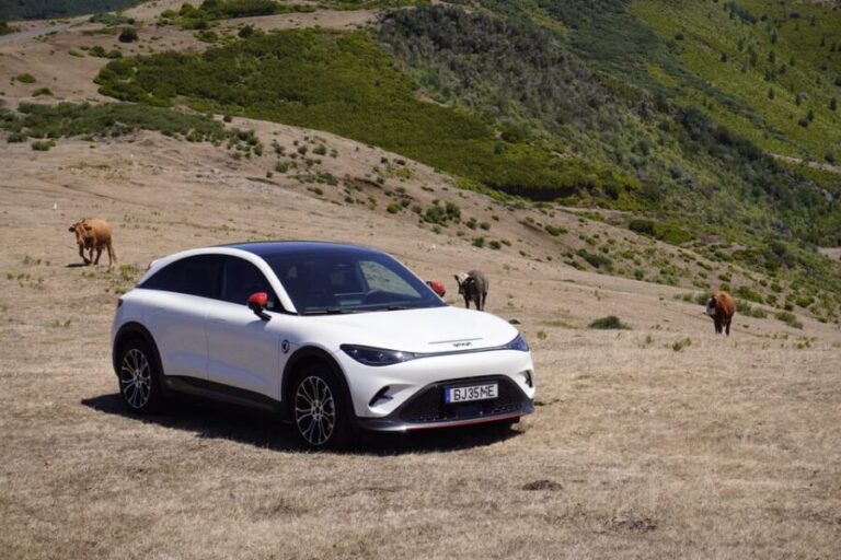 Madeira Private Premium Eco-Friendly Tour in Electric Car - Breaking Down the Day