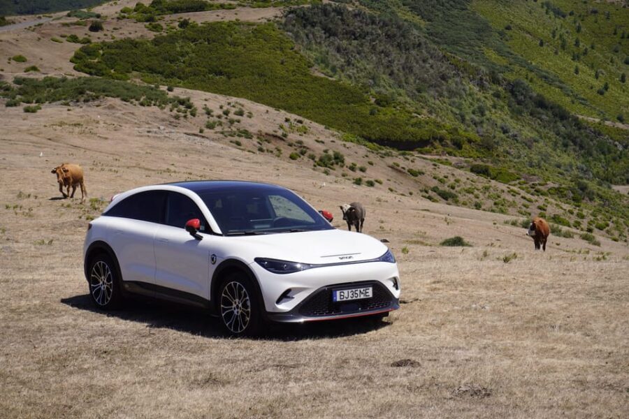 Madeira Private Premium Eco-Friendly Tour in Electric Car - Breaking Down the Day