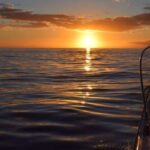 Madeira: Private Sunset Yacht Cruise with Snorkeling & Wine - Why This Experience Works Best for Certain Travelers