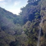 Madeira: Private Walking Tour of Levada das 25 Fontes PR6 - What’s Included & What to Bring