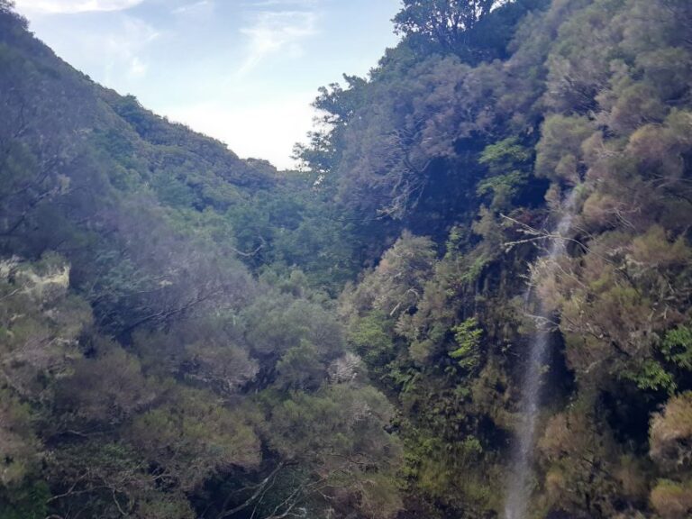 Madeira: Private Walking Tour of Levada das 25 Fontes PR6 - What’s Included & What to Bring