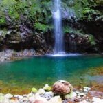 Madeira: Queimadas, Caldeirão Verde and Levada Walk - What Makes This Tour Stand Out?
