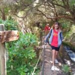 Madeira: Rabaçal, Risco and 25 Fontes Guided Hiking Tour - What to Expect During the Day