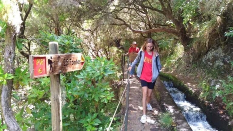 Madeira: Rabaçal, Risco and 25 Fontes Guided Hiking Tour - What to Expect During the Day