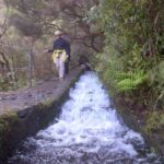 Madeira: Rabaçal Valleys 3-Hour Guided Walk - Is This Tour Worth It?