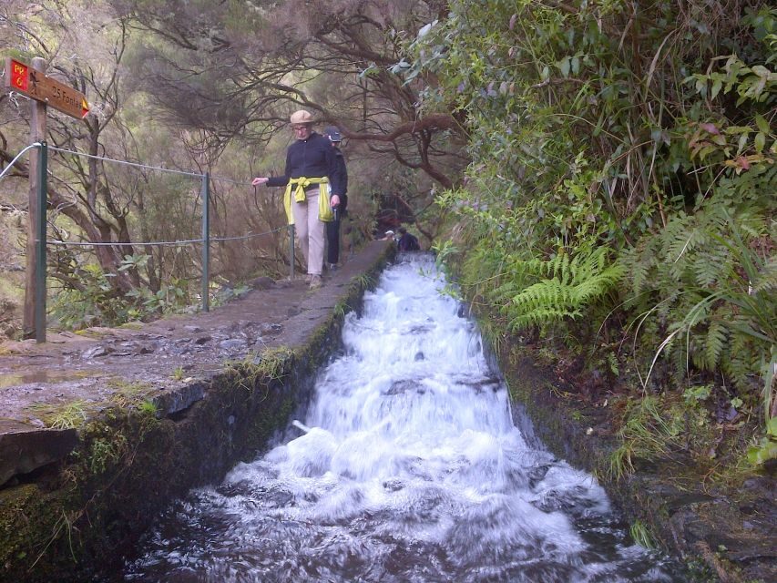 Madeira: Rabaçal Valleys 3-Hour Guided Walk - Is This Tour Worth It?