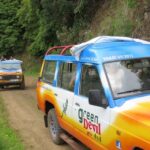 Madeira : Santana & Peaks full day tour by Open 4x4 - What Makes This Tour Stand Out?