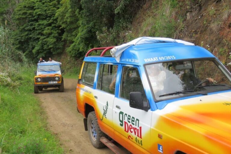 Madeira : Santana & Peaks full day tour by Open 4x4 - What Makes This Tour Stand Out?